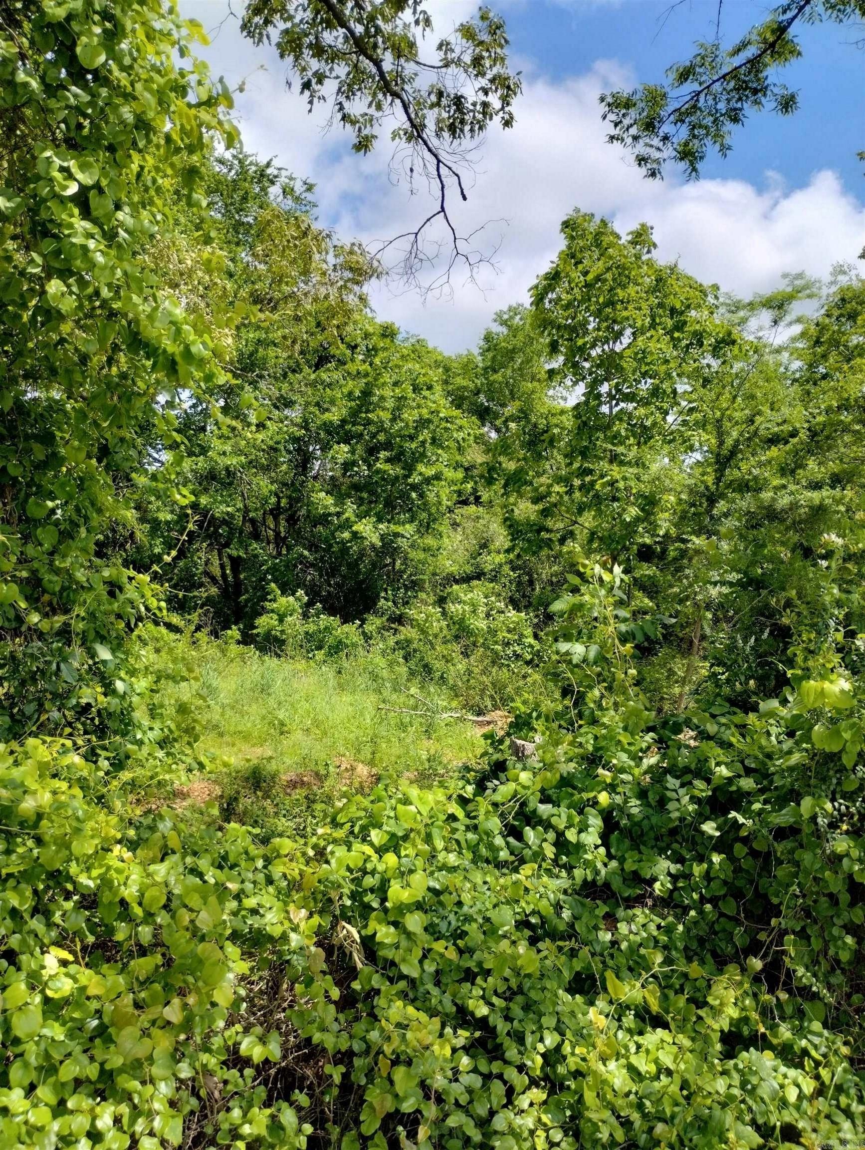 XX  Lot #3 Rosboro Loop  Glenwood, AR