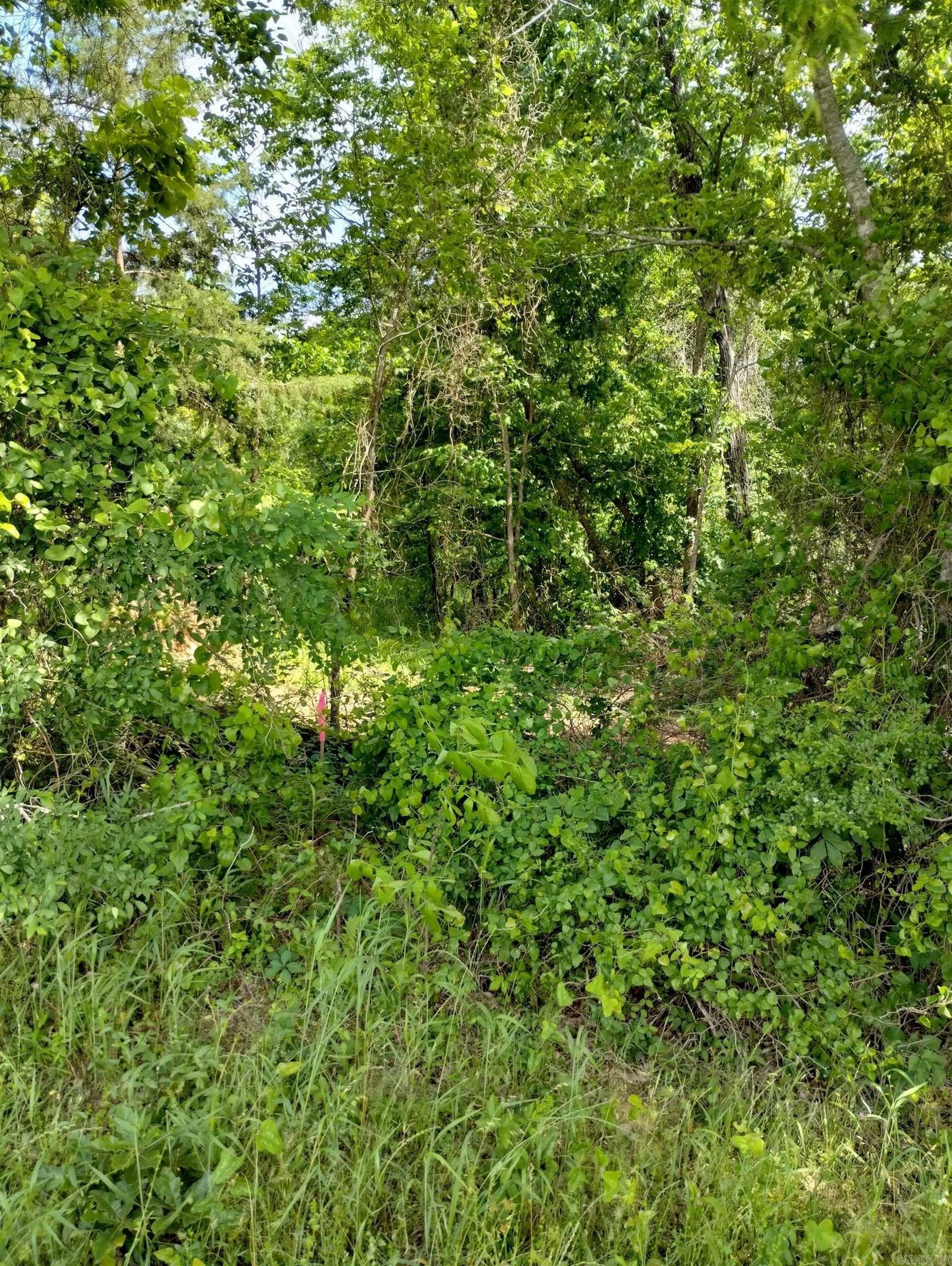 XX  Lot #3 Rosboro Loop  Glenwood, AR