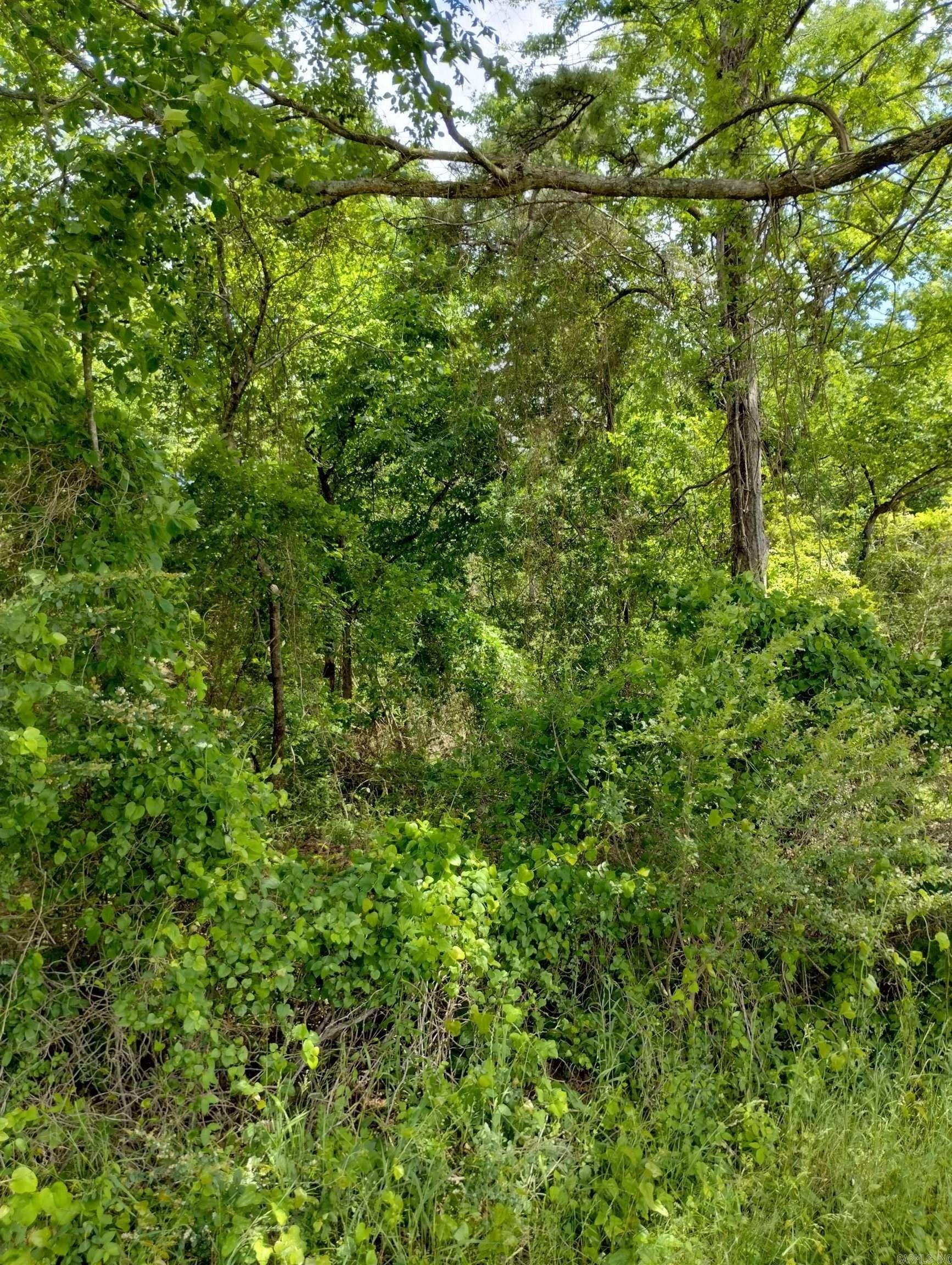 XX  Lot #3 Rosboro Loop  Glenwood, AR
