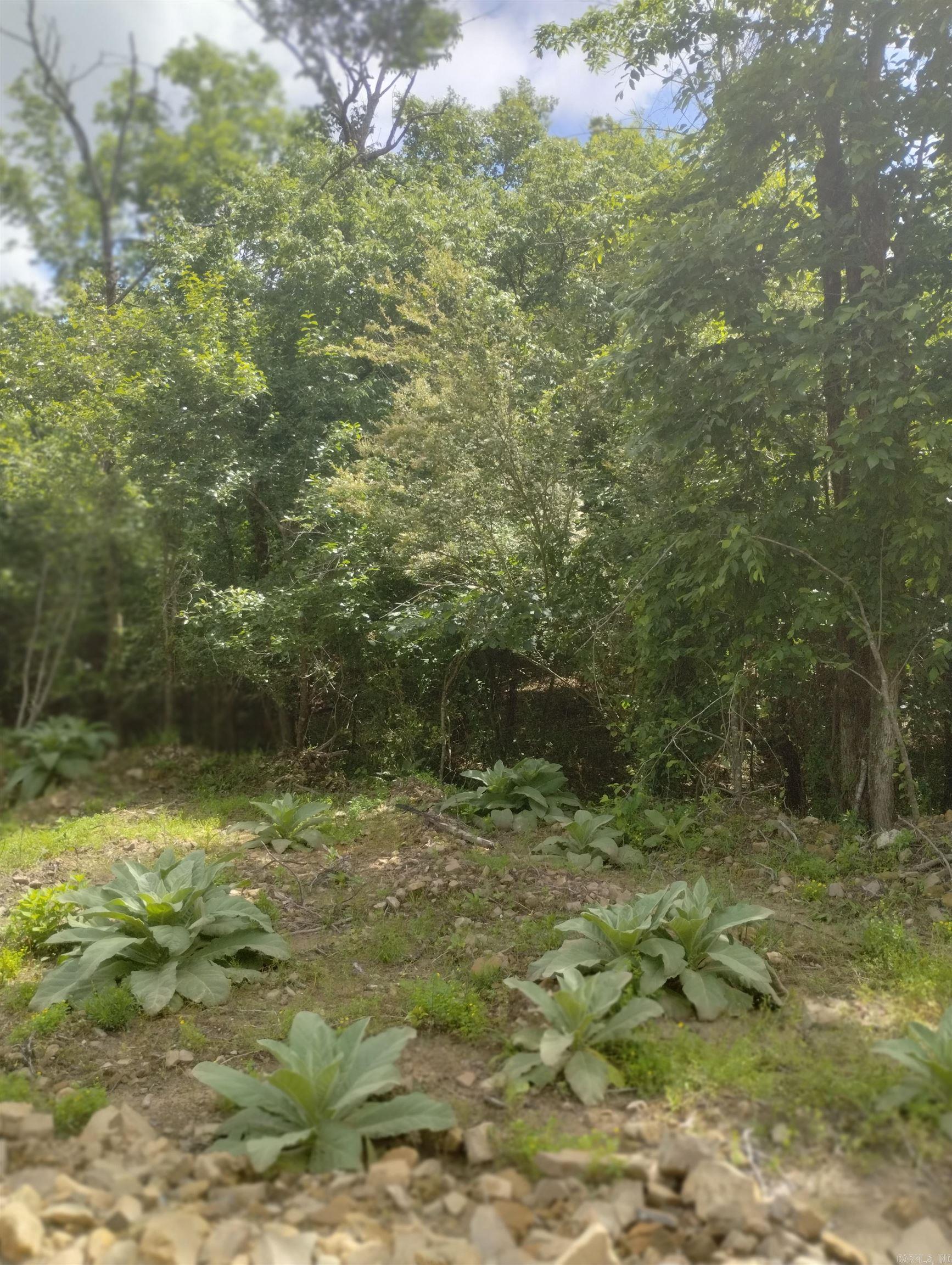 xx  Lot # 6 Castle  Glenwood, AR