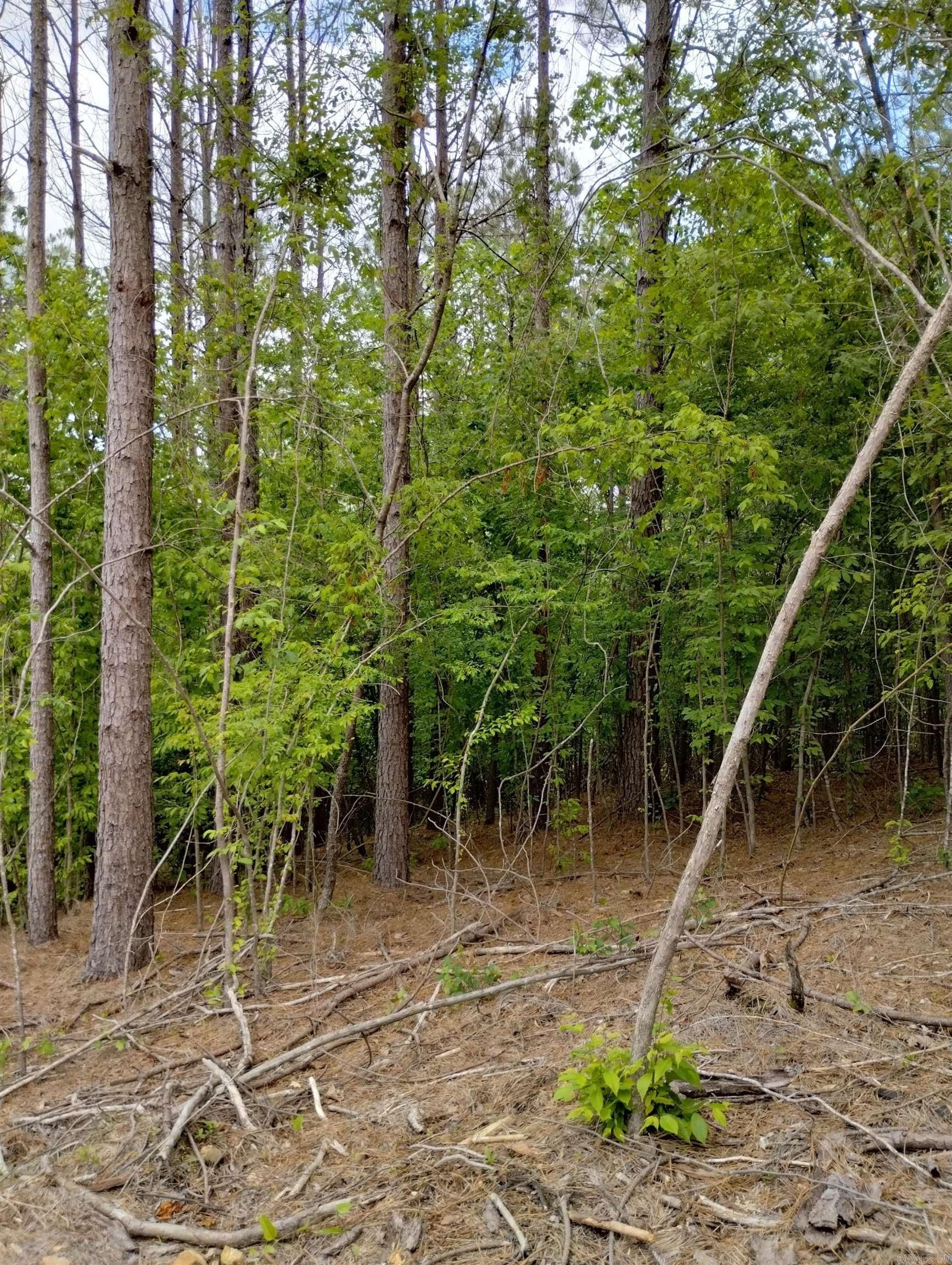 xx Lot # 6 Castle  Glenwood, AR