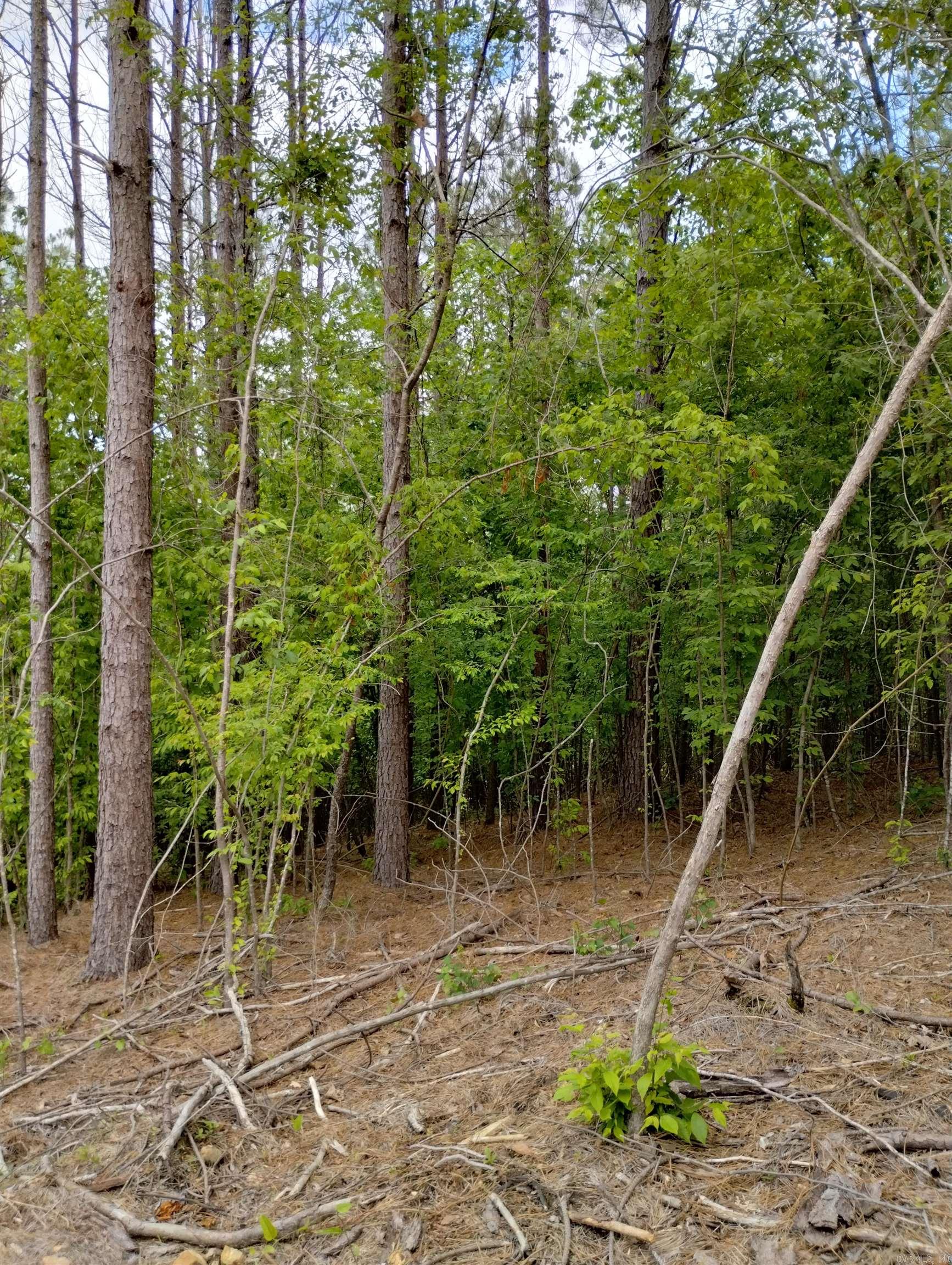 xx  Lot # 6 Castle  Glenwood, AR