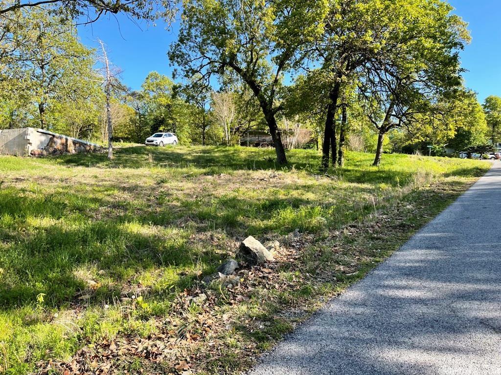 1207  North Shore  Horseshoe Bend, AR