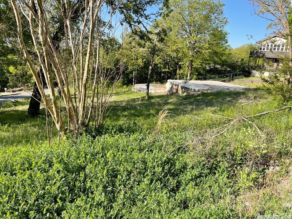 1207  North Shore  Horseshoe Bend, AR
