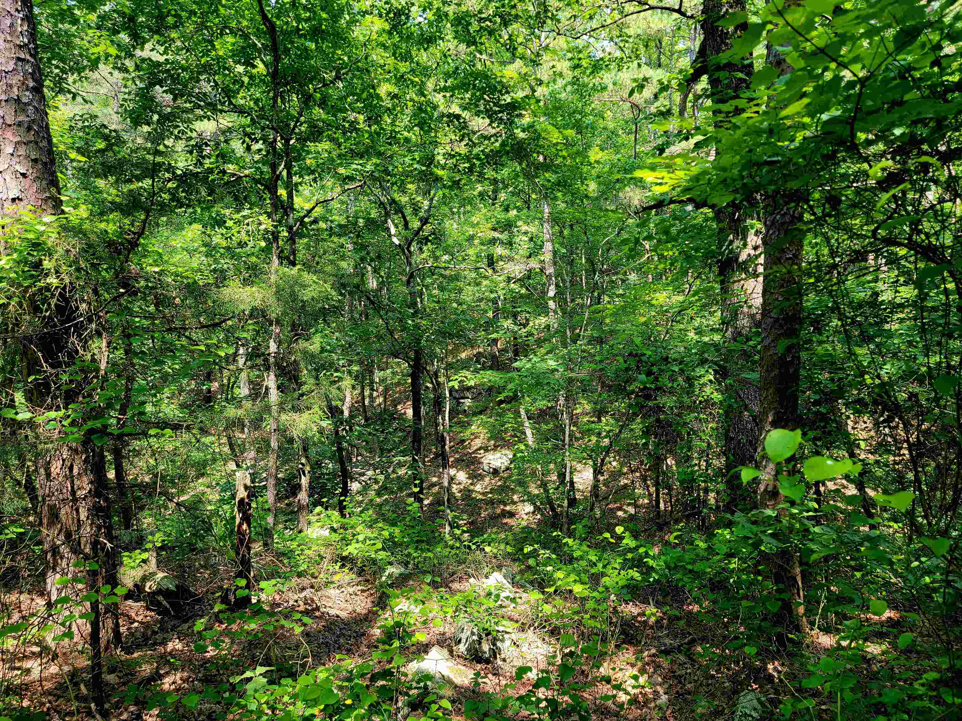 Lot 17  Fern  Fairfield Bay, AR