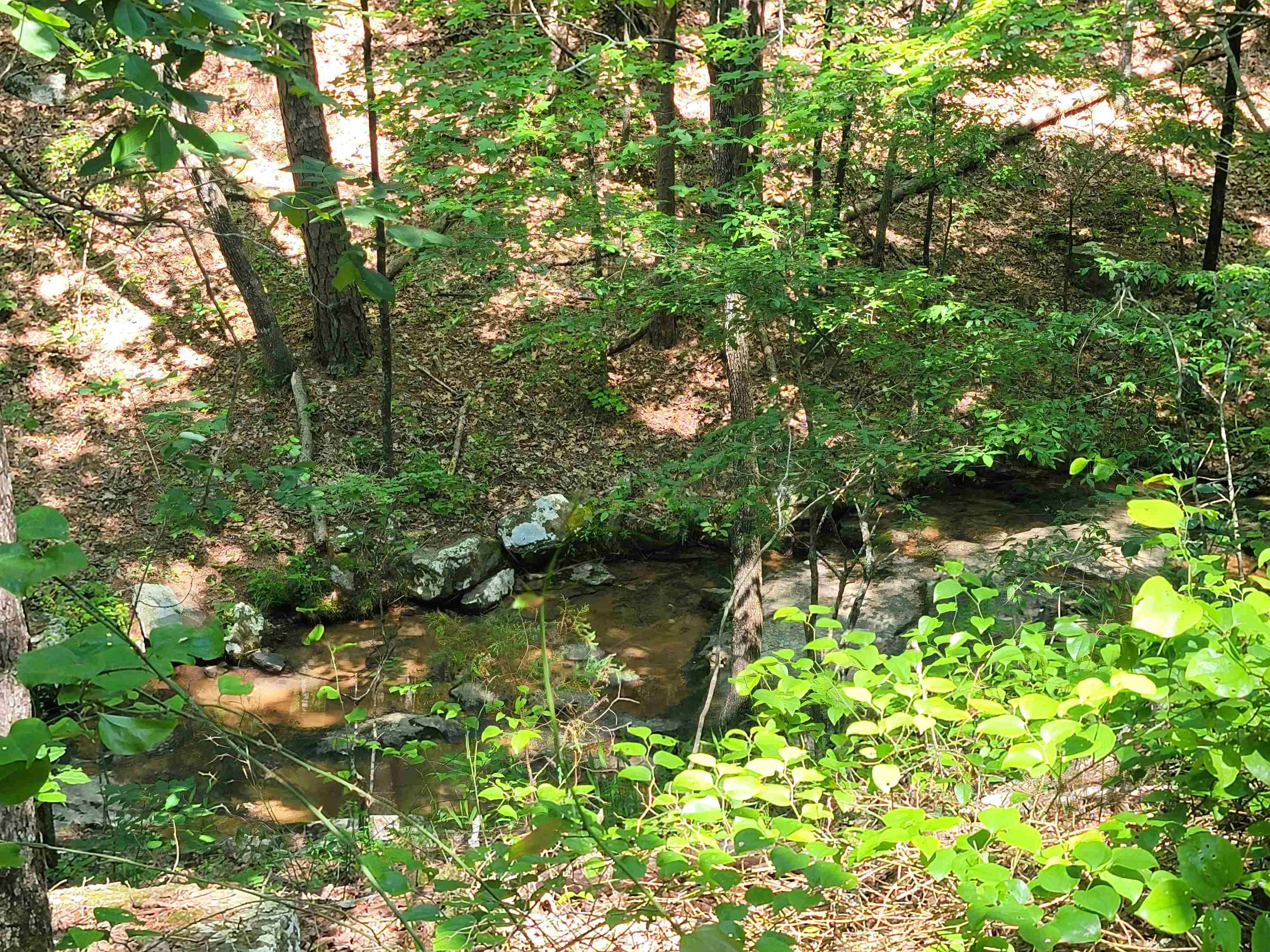 Lot 17  Fern  Fairfield Bay, AR