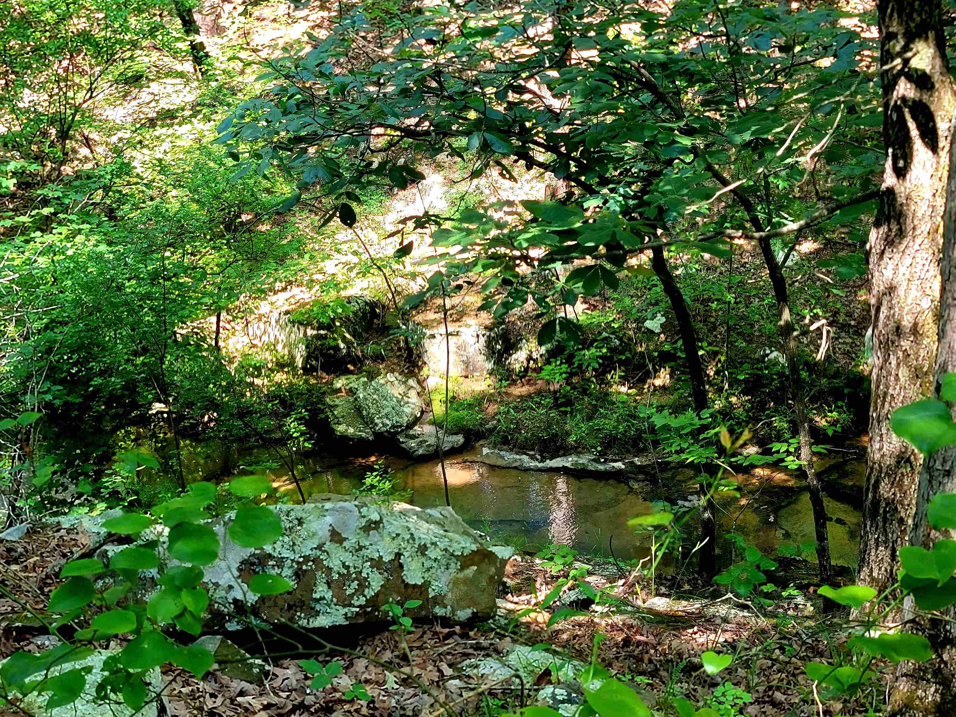 Lot 17  Fern  Fairfield Bay, AR