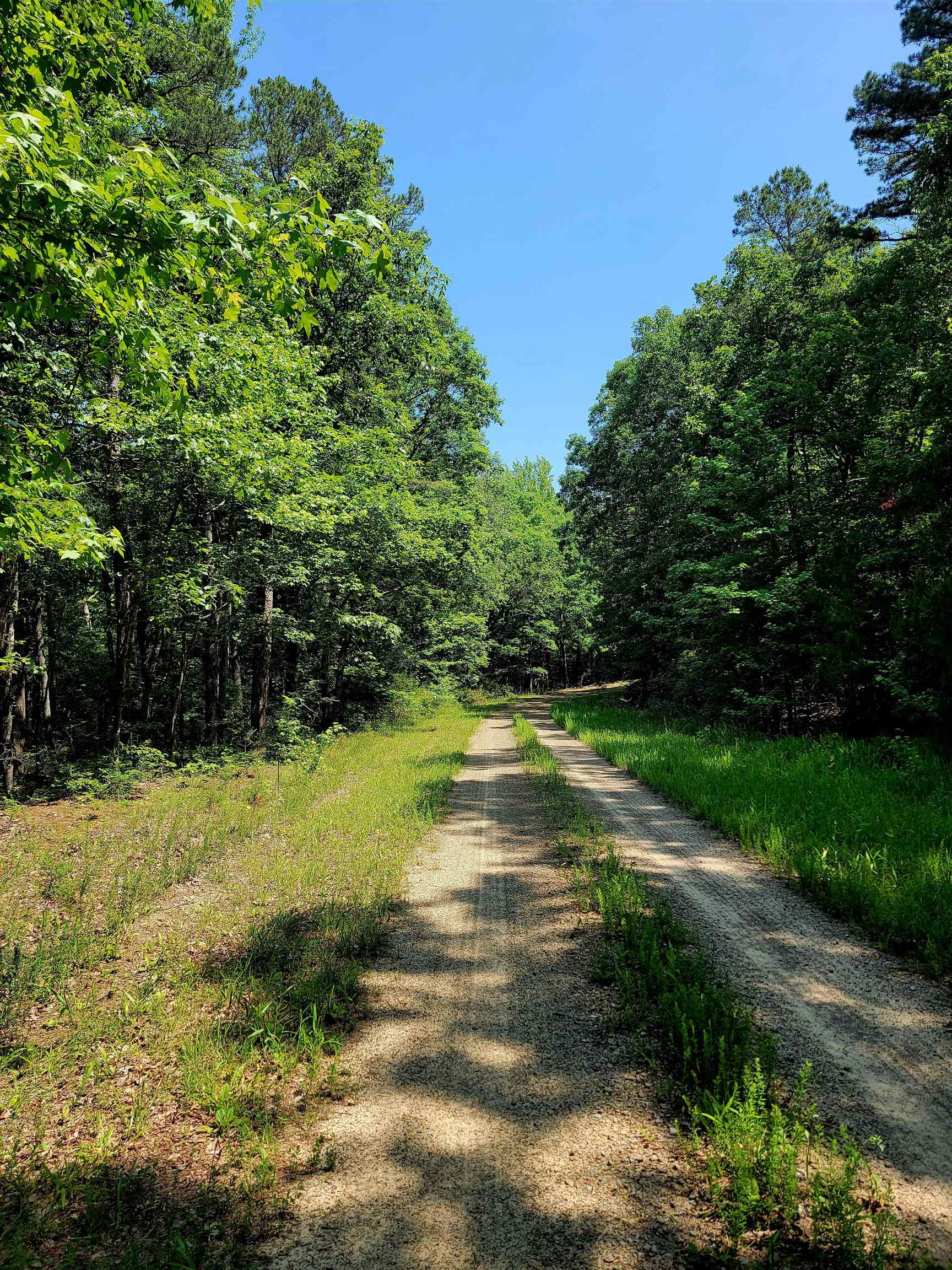 Lot 17  Fern  Fairfield Bay, AR