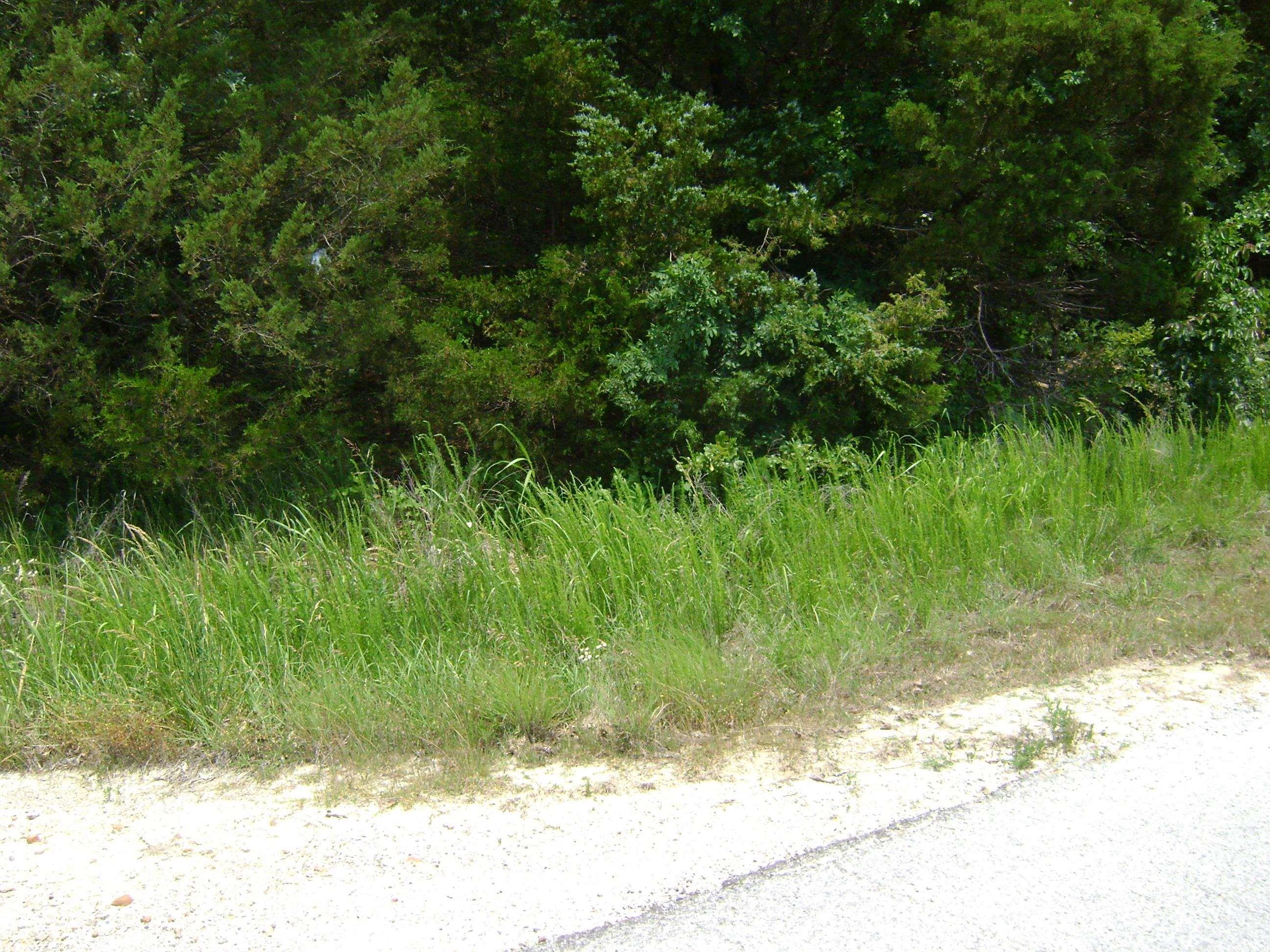 412  Market Street  Horseshoe Bend, AR