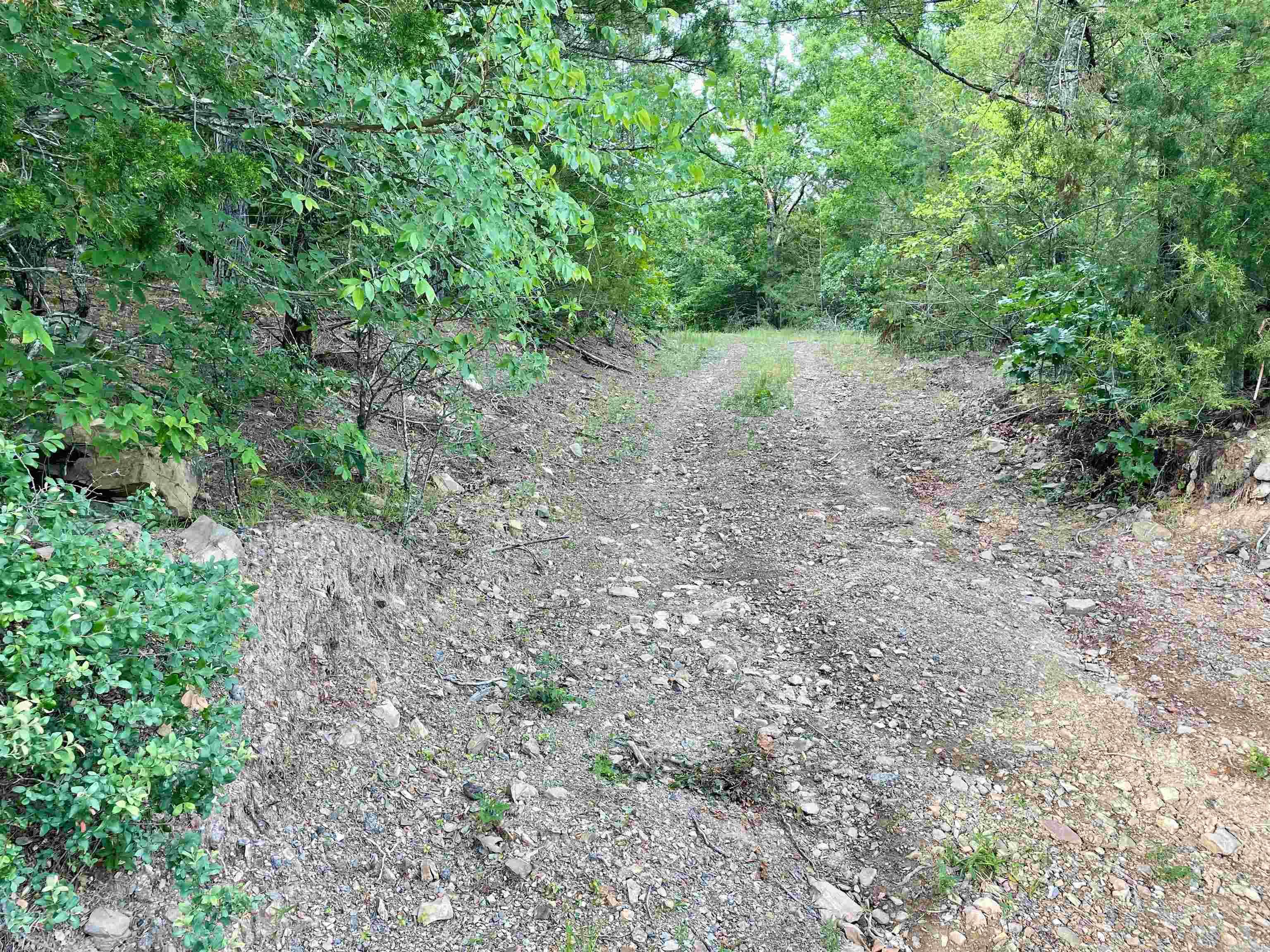 9999  Polk ROAD 42  Mena, AR