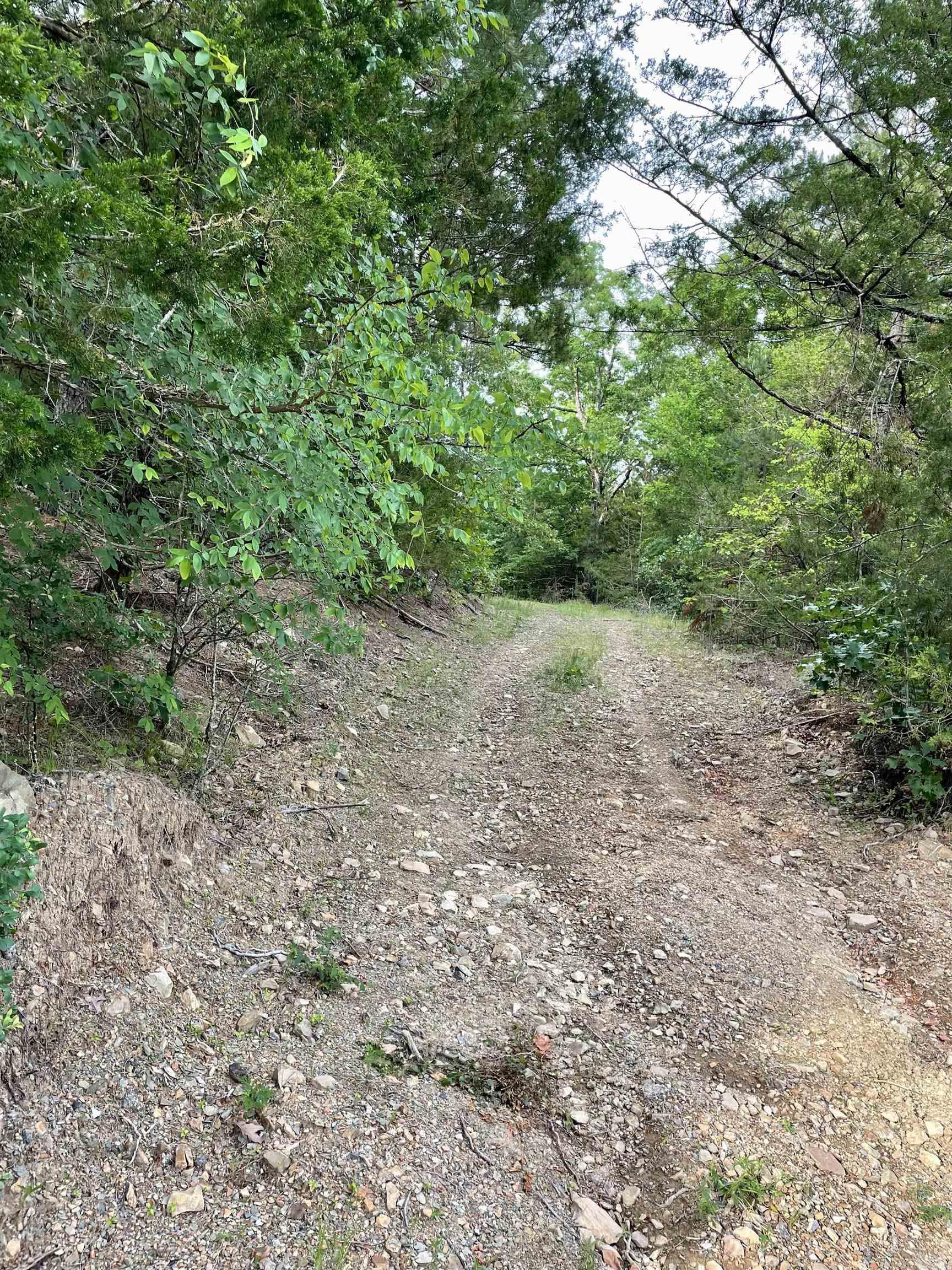 9999  Polk ROAD 42  Mena, AR