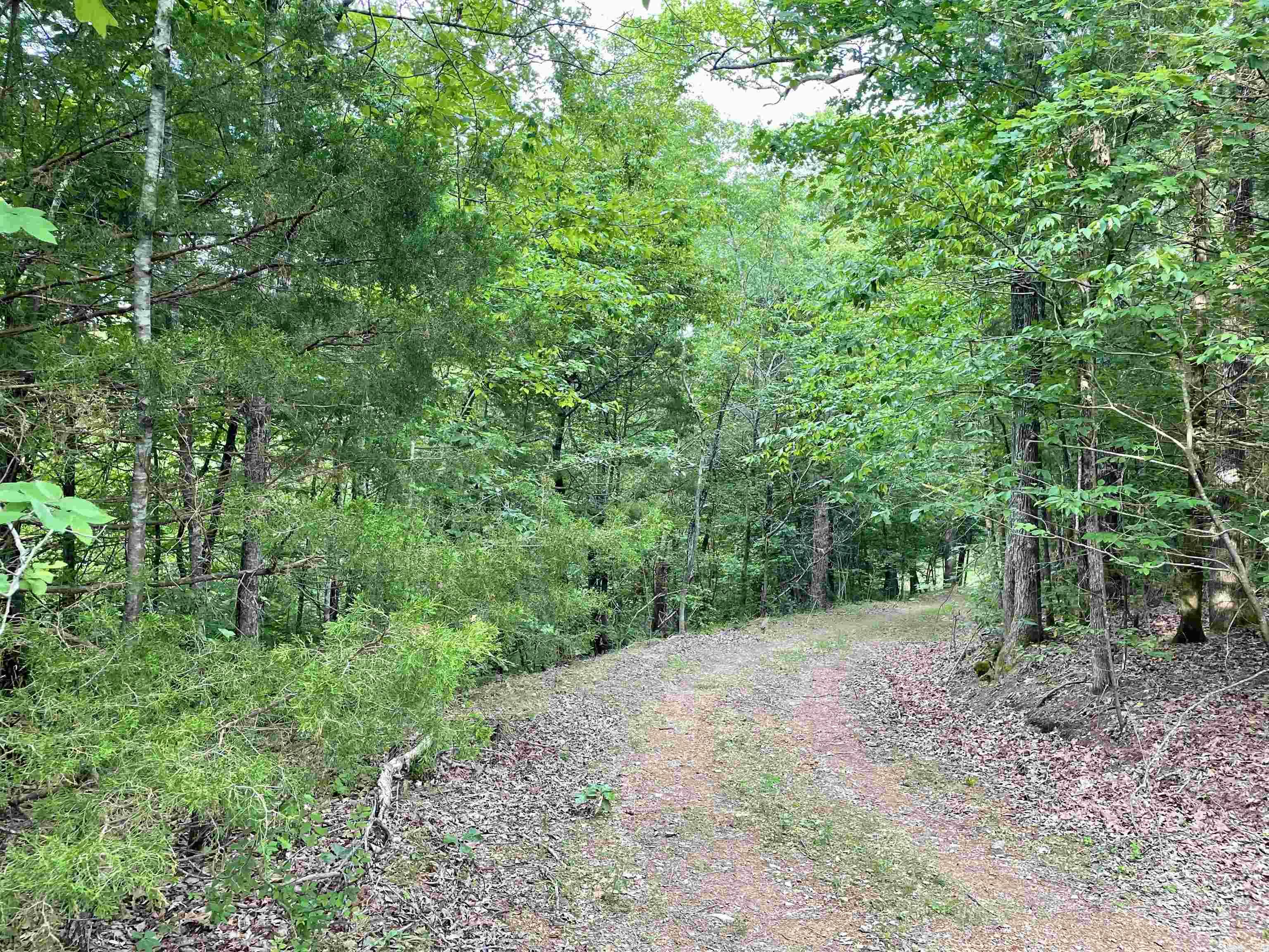 9999  Polk ROAD 42  Mena, AR