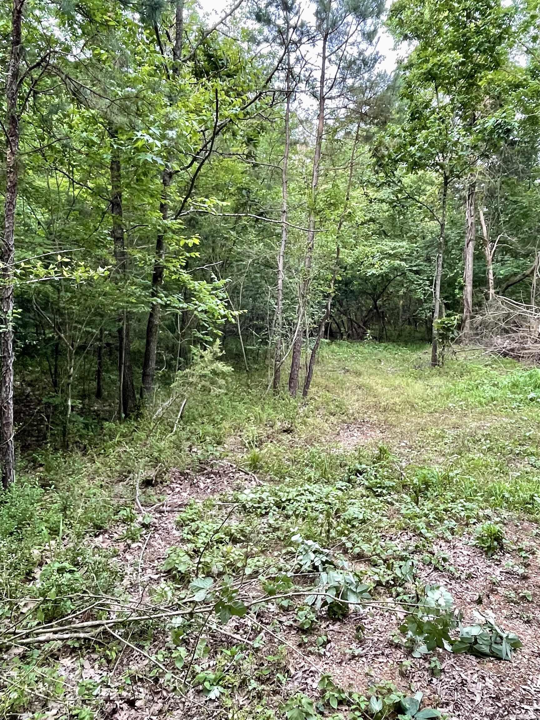 9999  Polk ROAD 42  Mena, AR