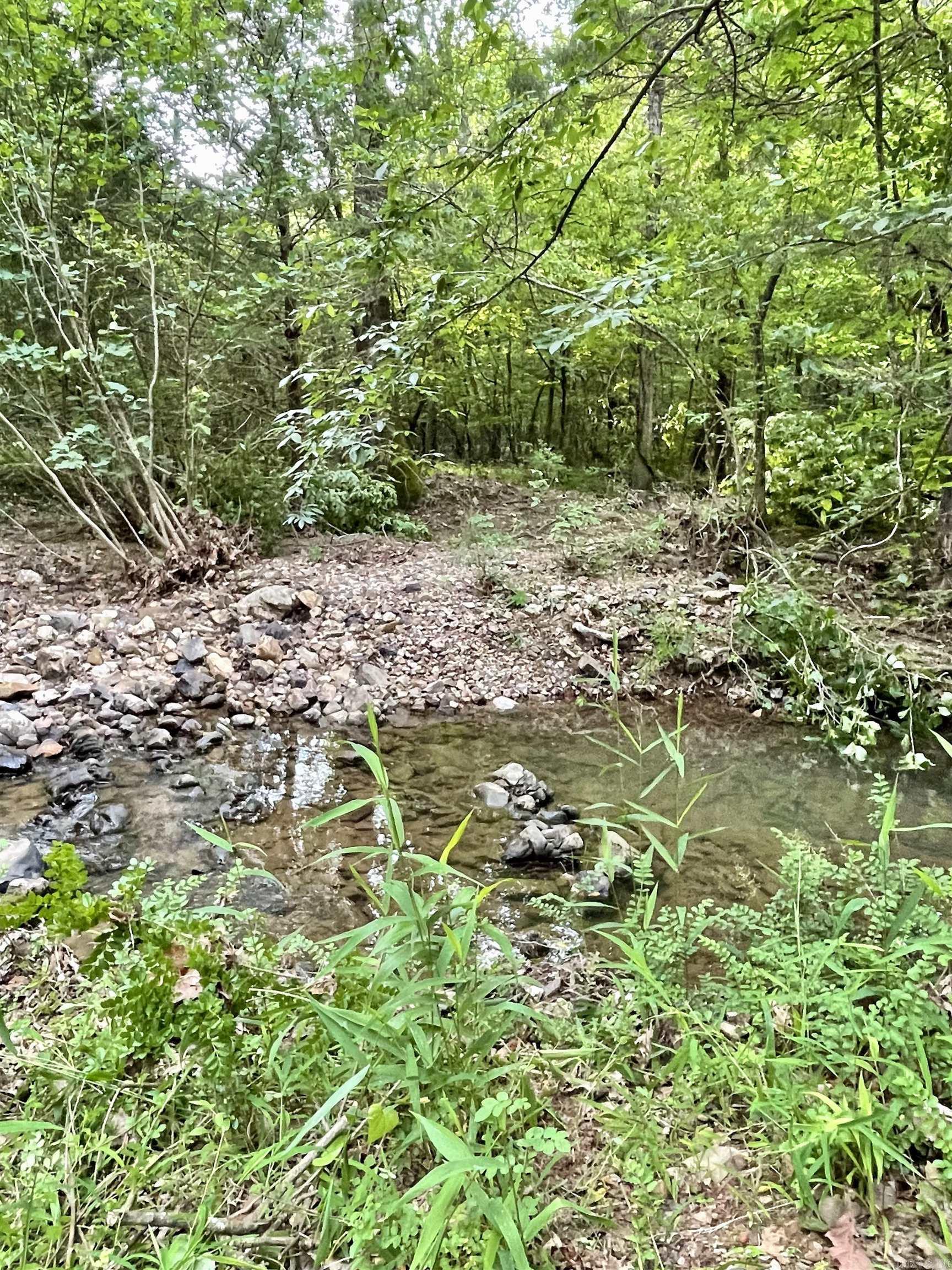 9999  Polk ROAD 42  Mena, AR