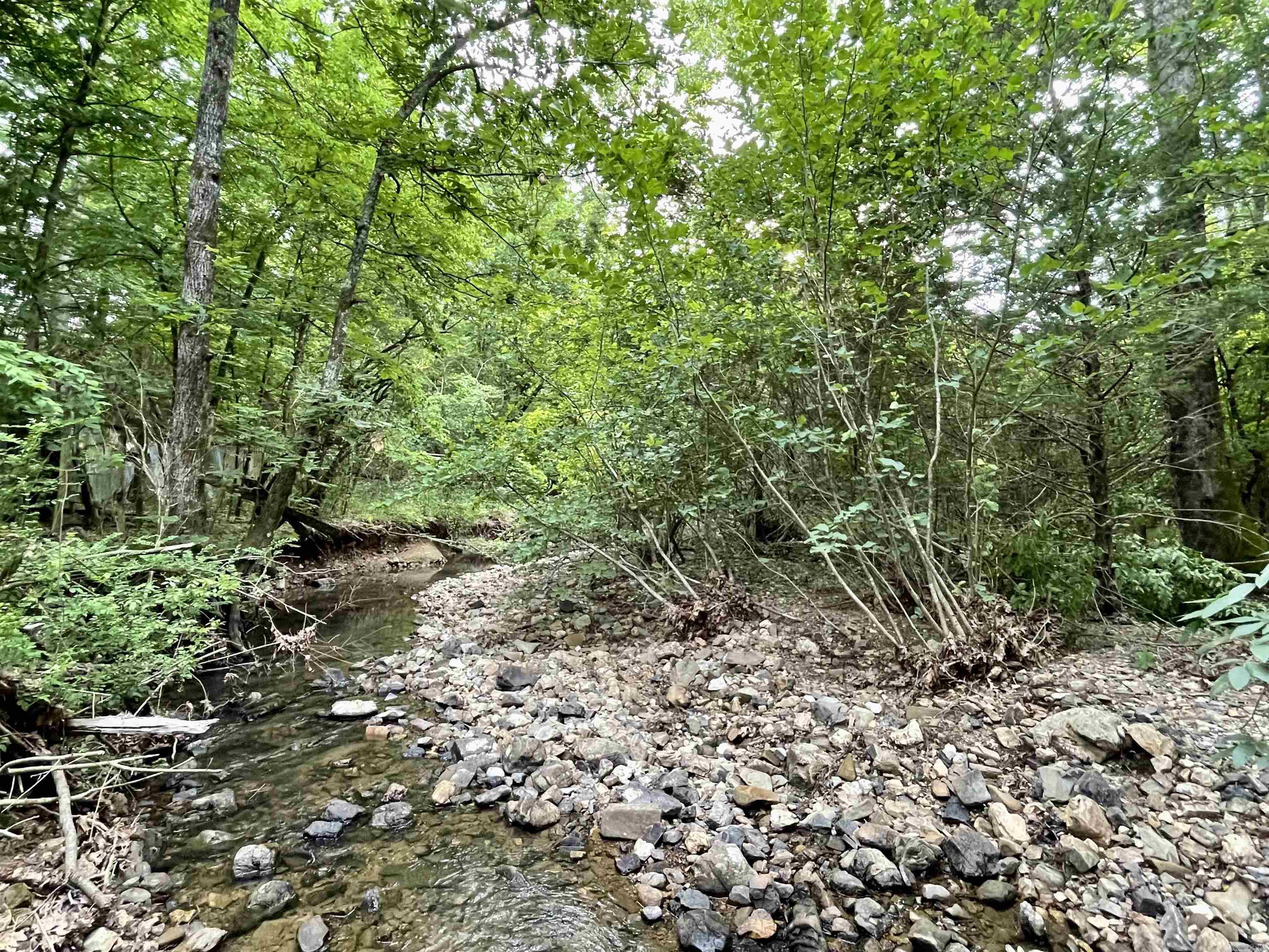 9999  Polk ROAD 42  Mena, AR