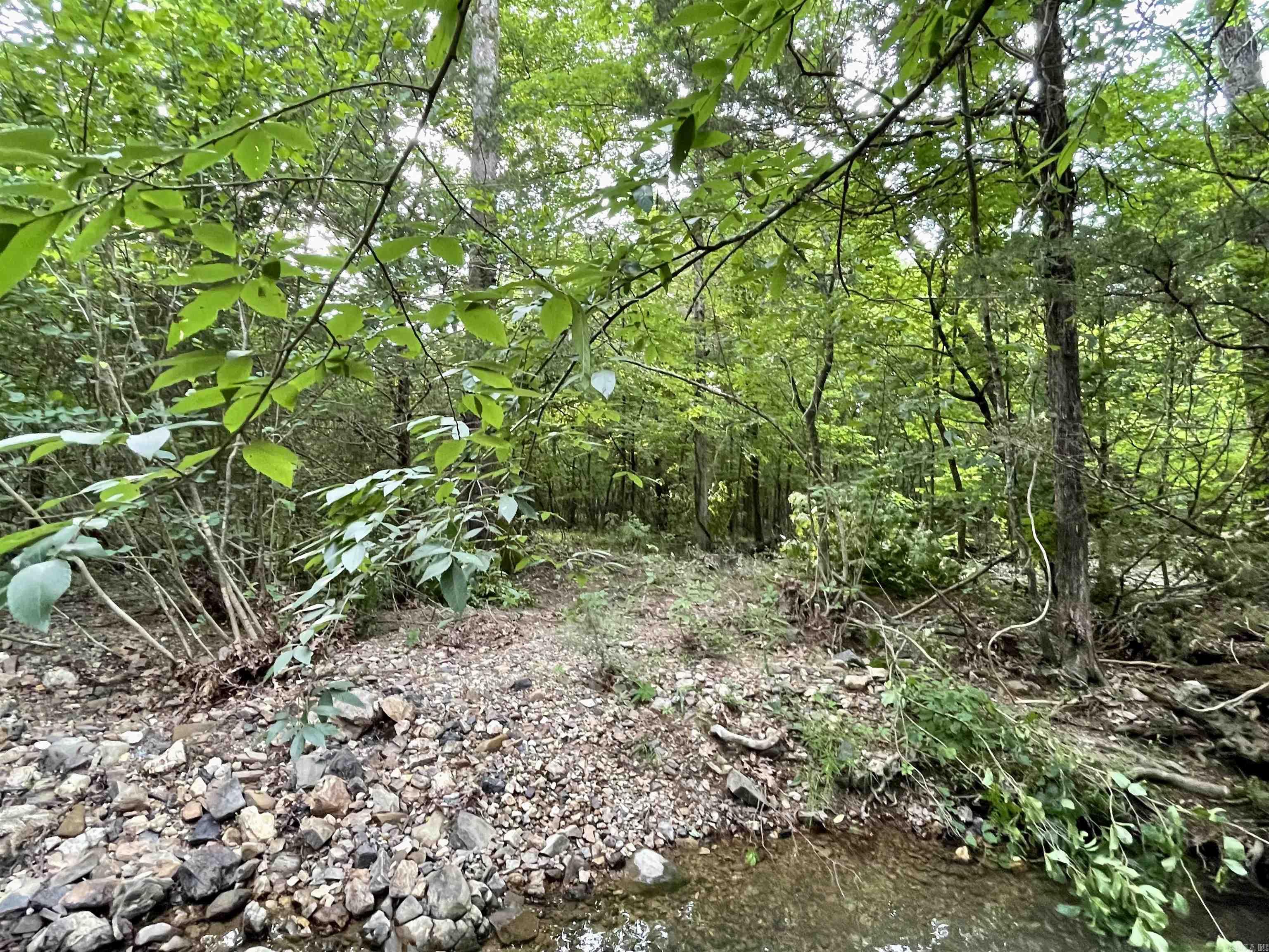 9999  Polk ROAD 42  Mena, AR