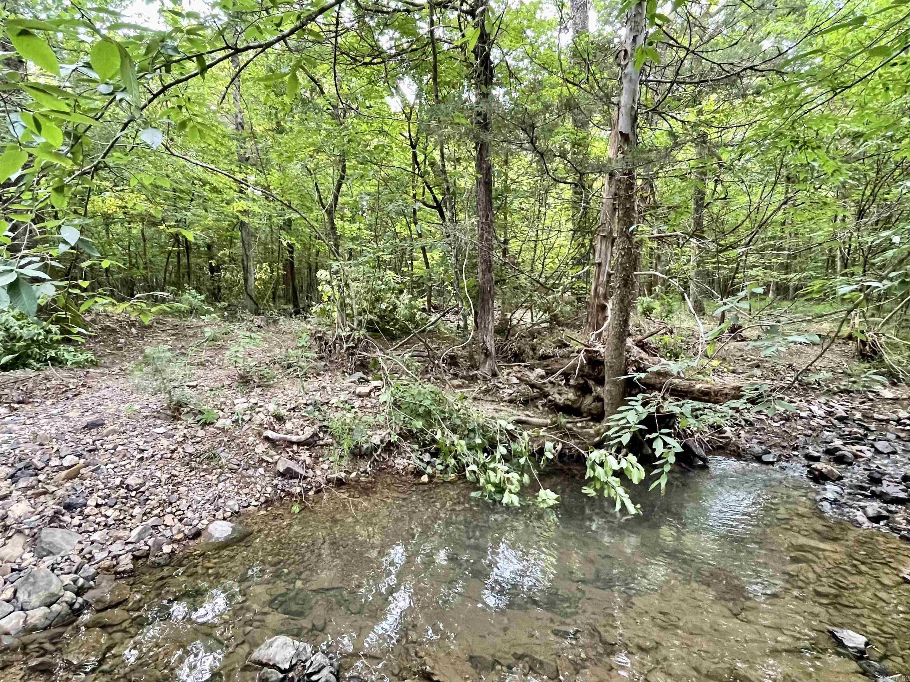 9999  Polk ROAD 42  Mena, AR
