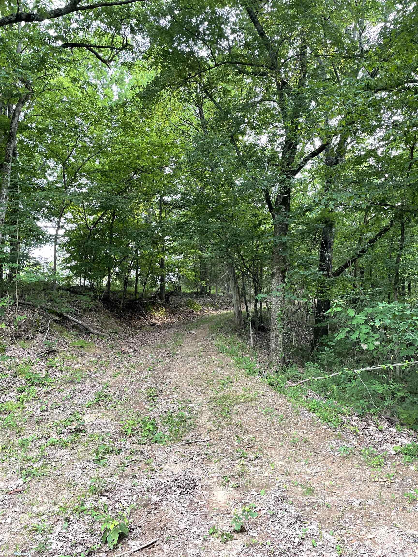 9999  Polk ROAD 42  Mena, AR