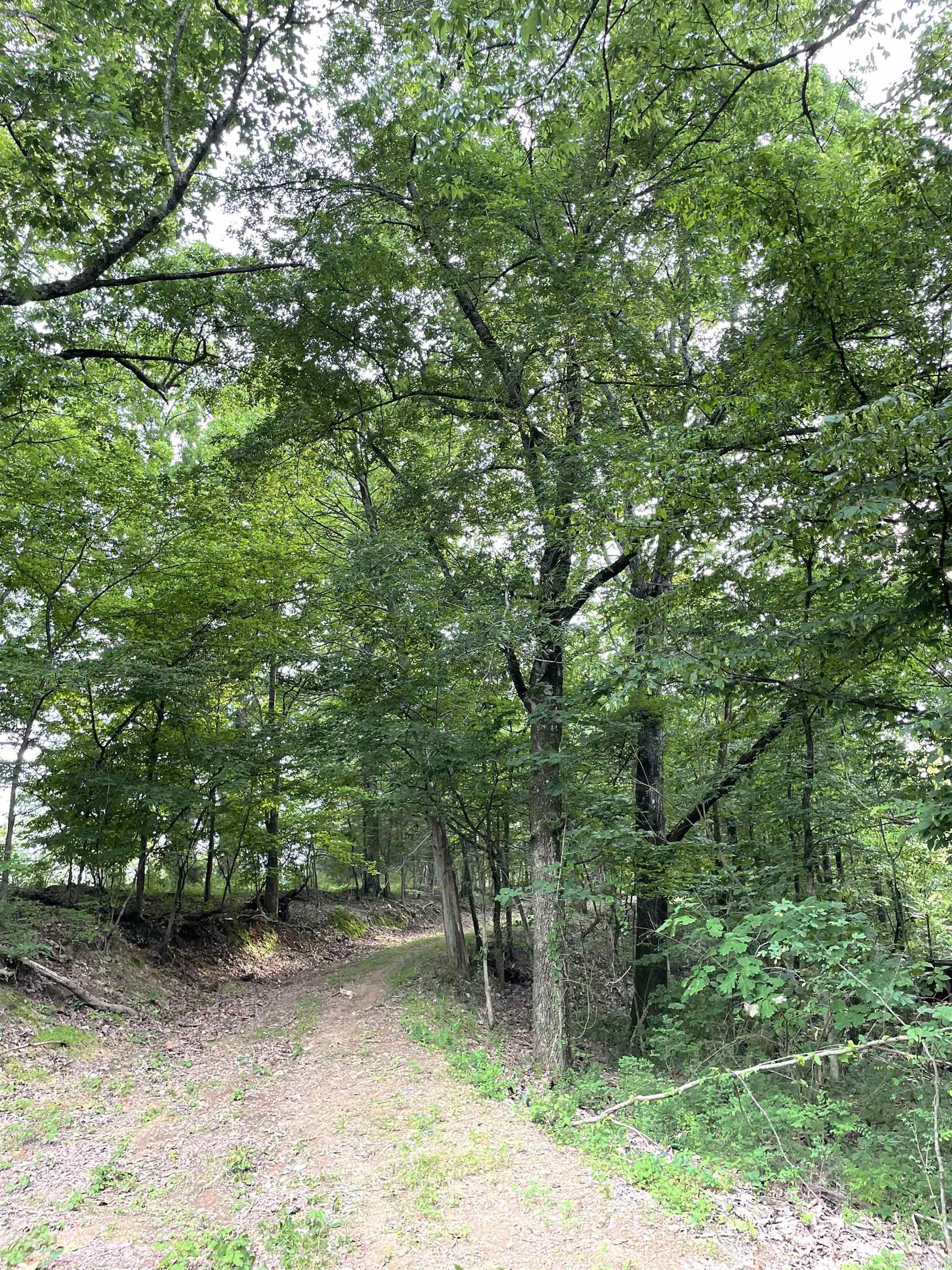 9999  Polk ROAD 42  Mena, AR