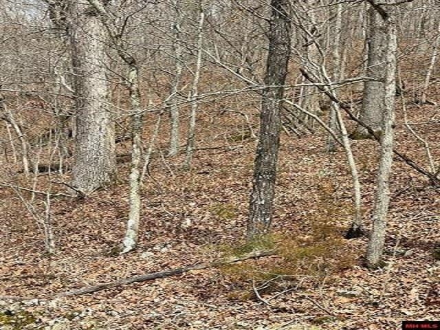 000  Jimmy Creek Trail  Yellville, AR