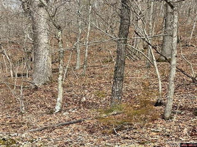 000 Jimmy Creek Trail  Yellville, AR