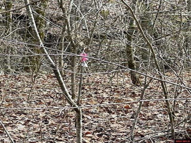 000  Jimmy Creek Trail  Yellville, AR