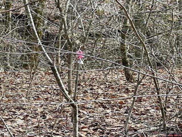 000 Jimmy Creek Trail  Yellville, AR