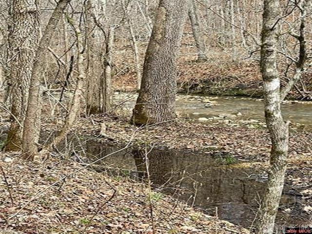 000 Jimmy Creek Trail  Yellville, AR