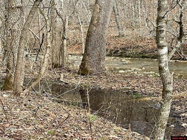000  Jimmy Creek Trail  Yellville, AR