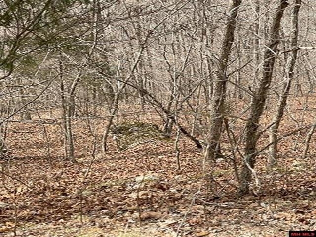 000  Jimmy Creek Trail  Yellville, AR