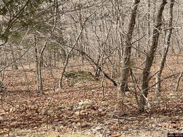 000 Jimmy Creek Trail  Yellville, AR