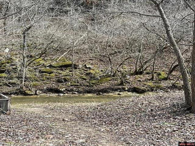 000 Jimmy Creek Trail  Yellville, AR
