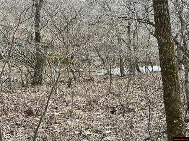 000  Jimmy Creek Trail  Yellville, AR