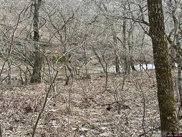 000 Jimmy Creek Trail  Yellville, AR