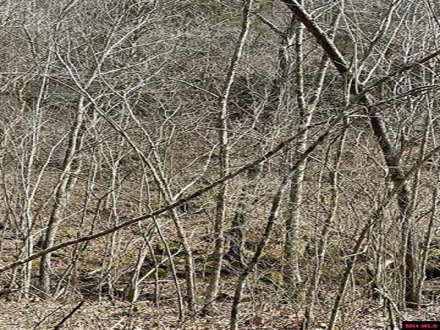 000  Jimmy Creek Trail  Yellville, AR