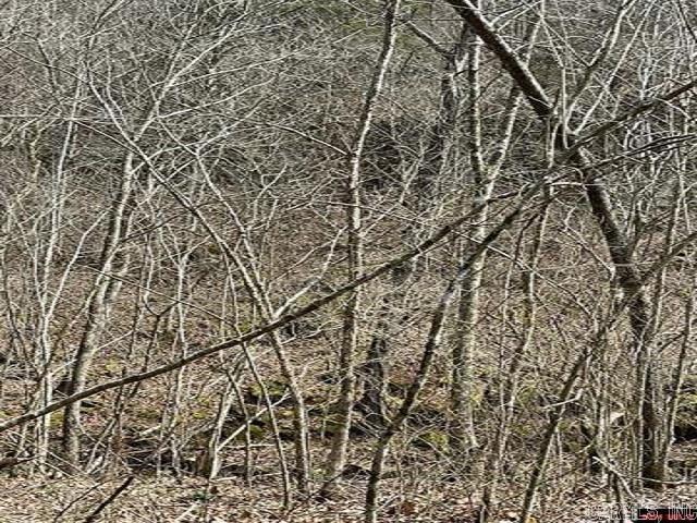 000 Jimmy Creek Trail  Yellville, AR