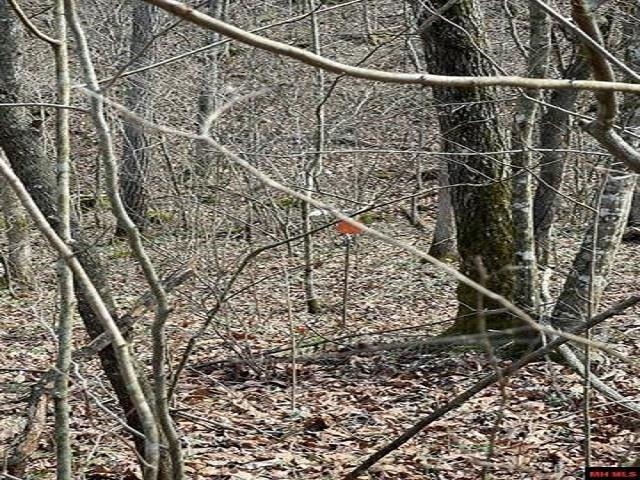 000  Jimmy Creek Trail  Yellville, AR