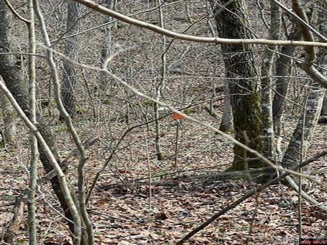 000 Jimmy Creek Trail  Yellville, AR