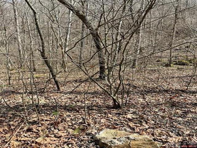 000 Jimmy Creek Trail  Yellville, AR