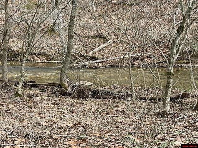 000  Jimmy Creek Trail  Yellville, AR