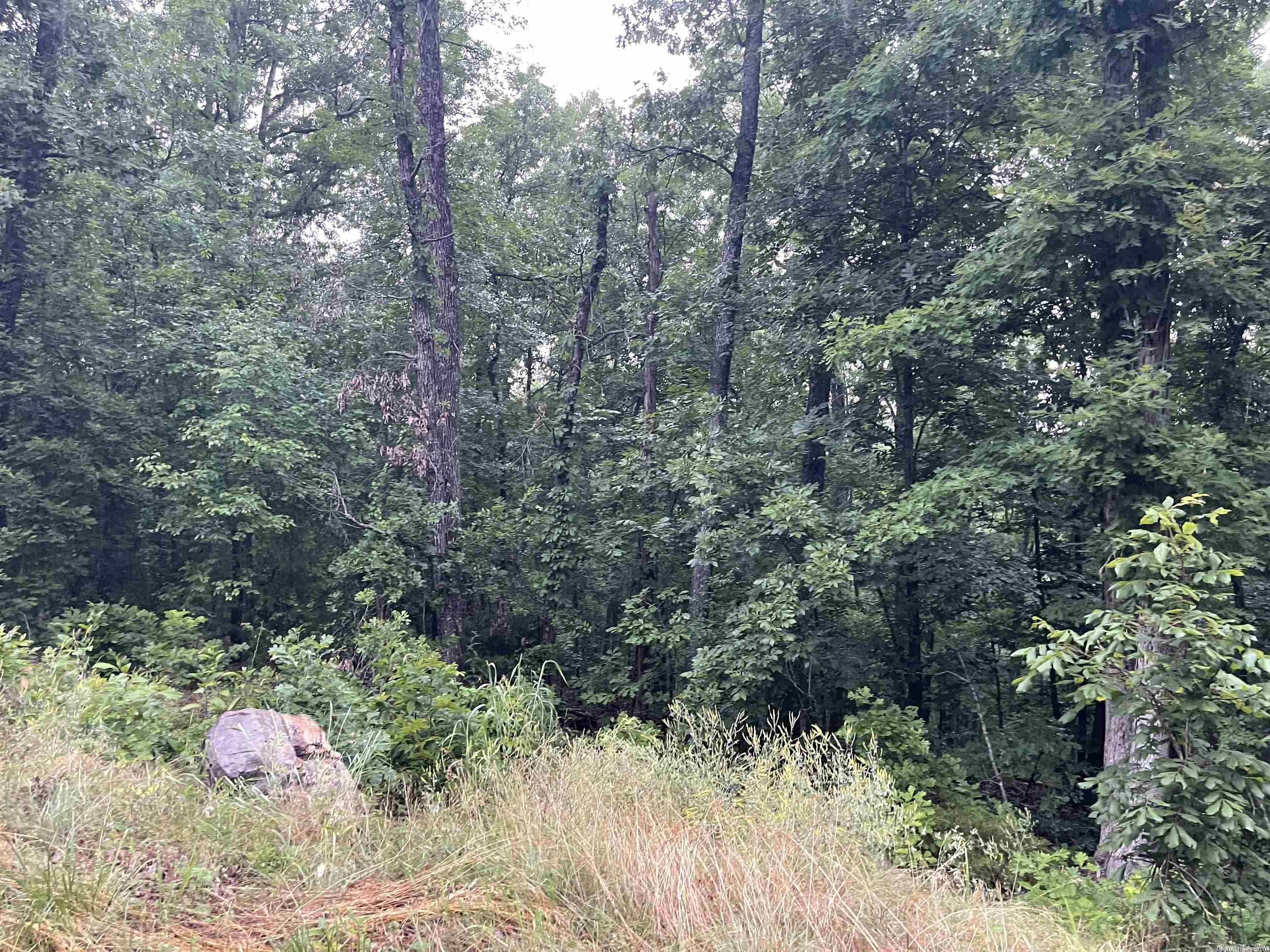 TBD  Blackfoot  Cherokee Village, AR