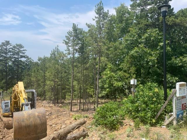 174  Majestic  Maumelle, AR