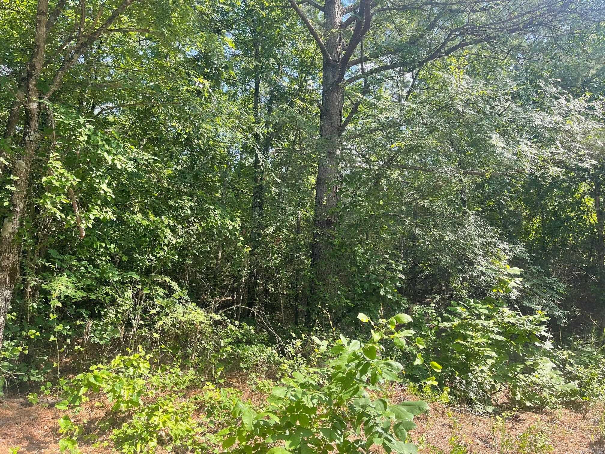 9999 Polk 617, Mena, AR 71953