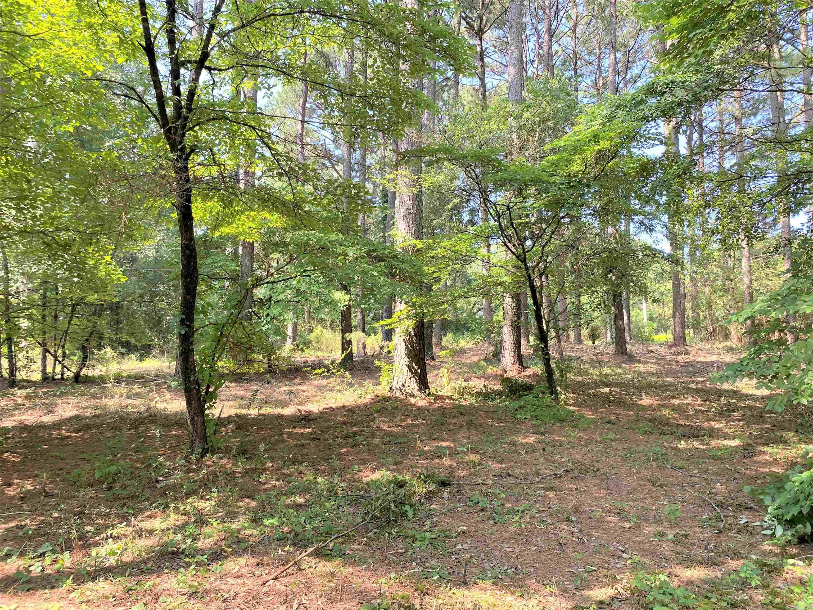 Lot 26  Scenic  Heber Springs, AR