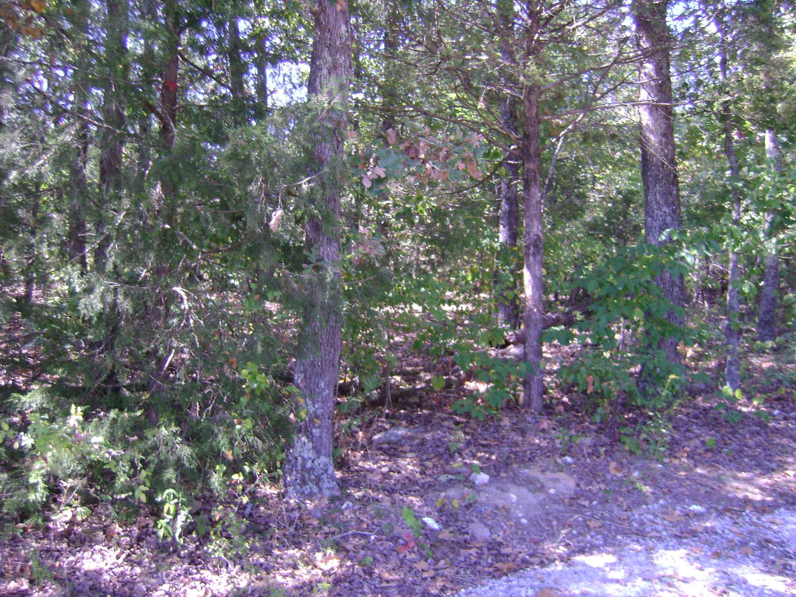 1711  Pleasant Valley Dr. 1108 Fairwater Circle Horseshoe Bend, AR