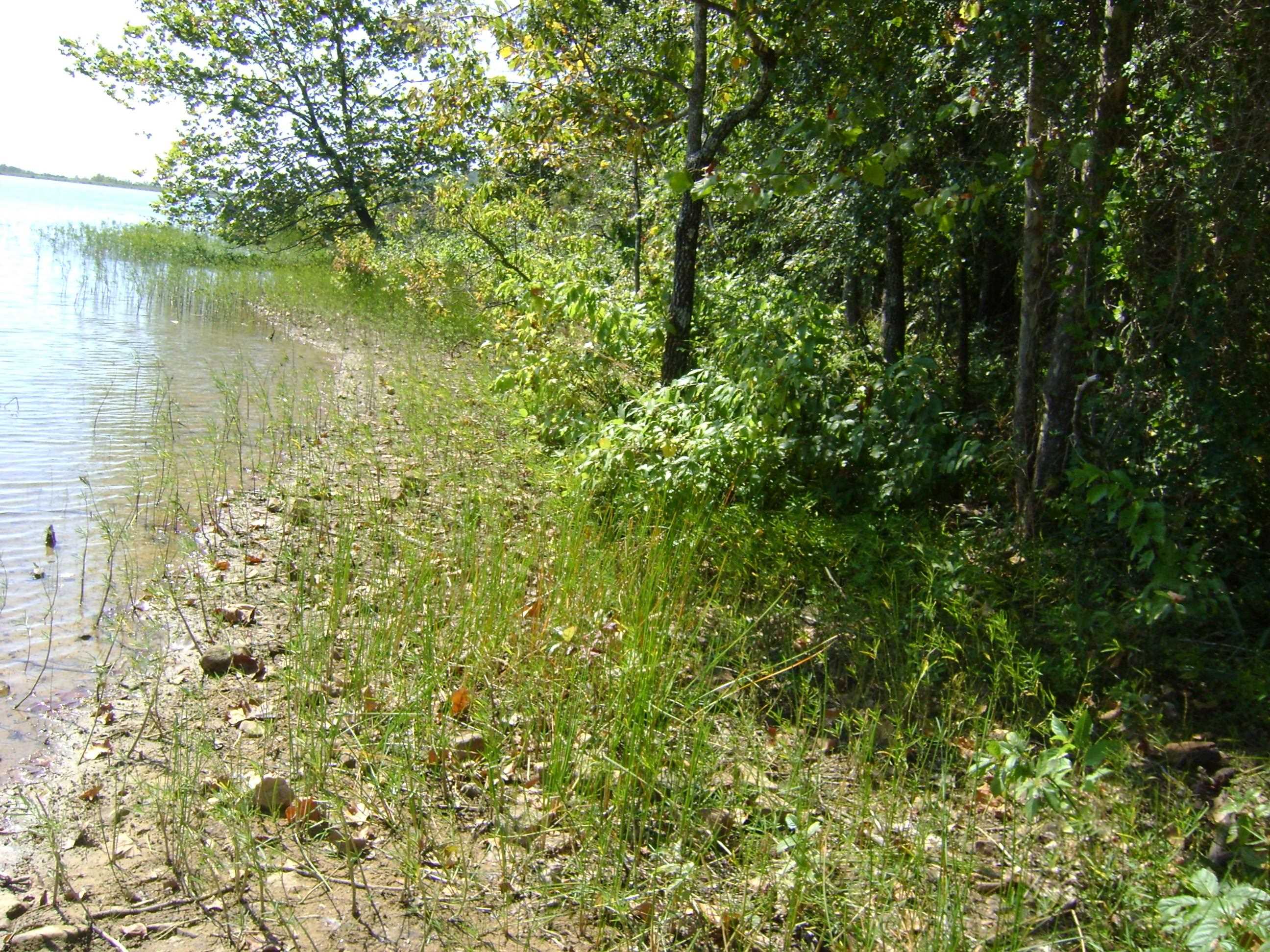 1711  Pleasant Valley Dr. 1108 Fairwater Circle Horseshoe Bend, AR