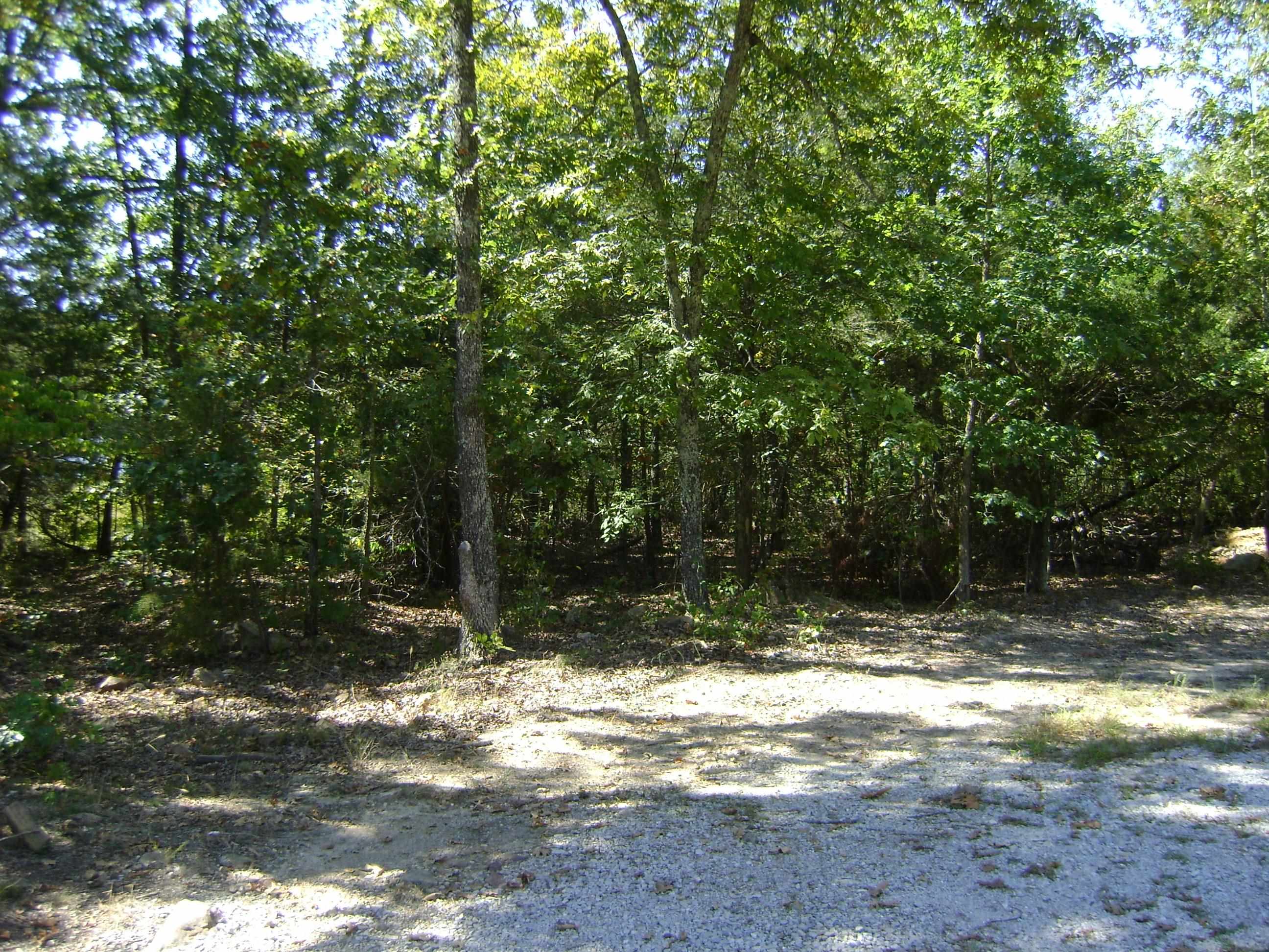 1711  Pleasant Valley Dr. 1108 Fairwater Circle Horseshoe Bend, AR