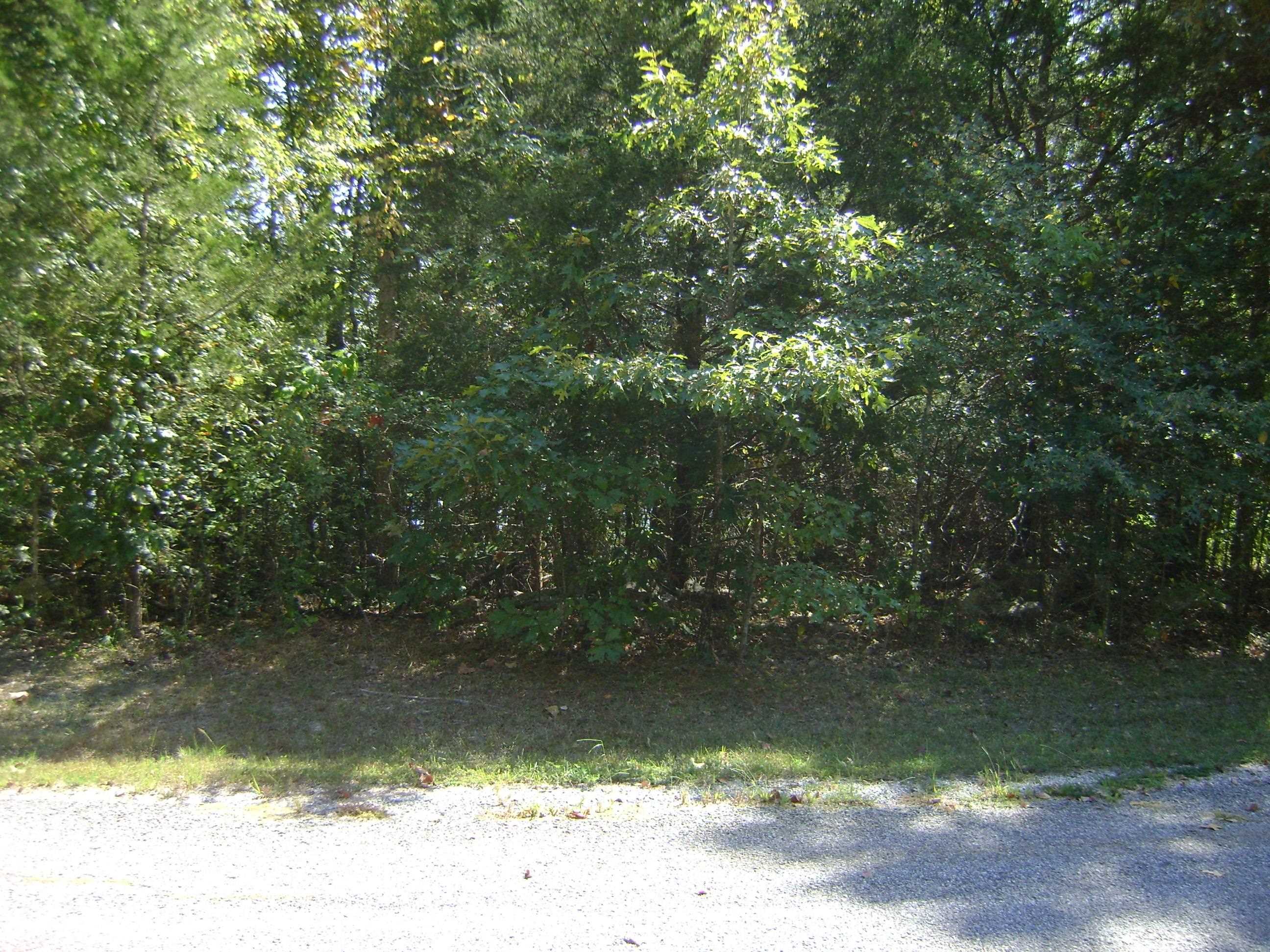 1711  Pleasant Valley Dr. 1108 Fairwater Circle Horseshoe Bend, AR