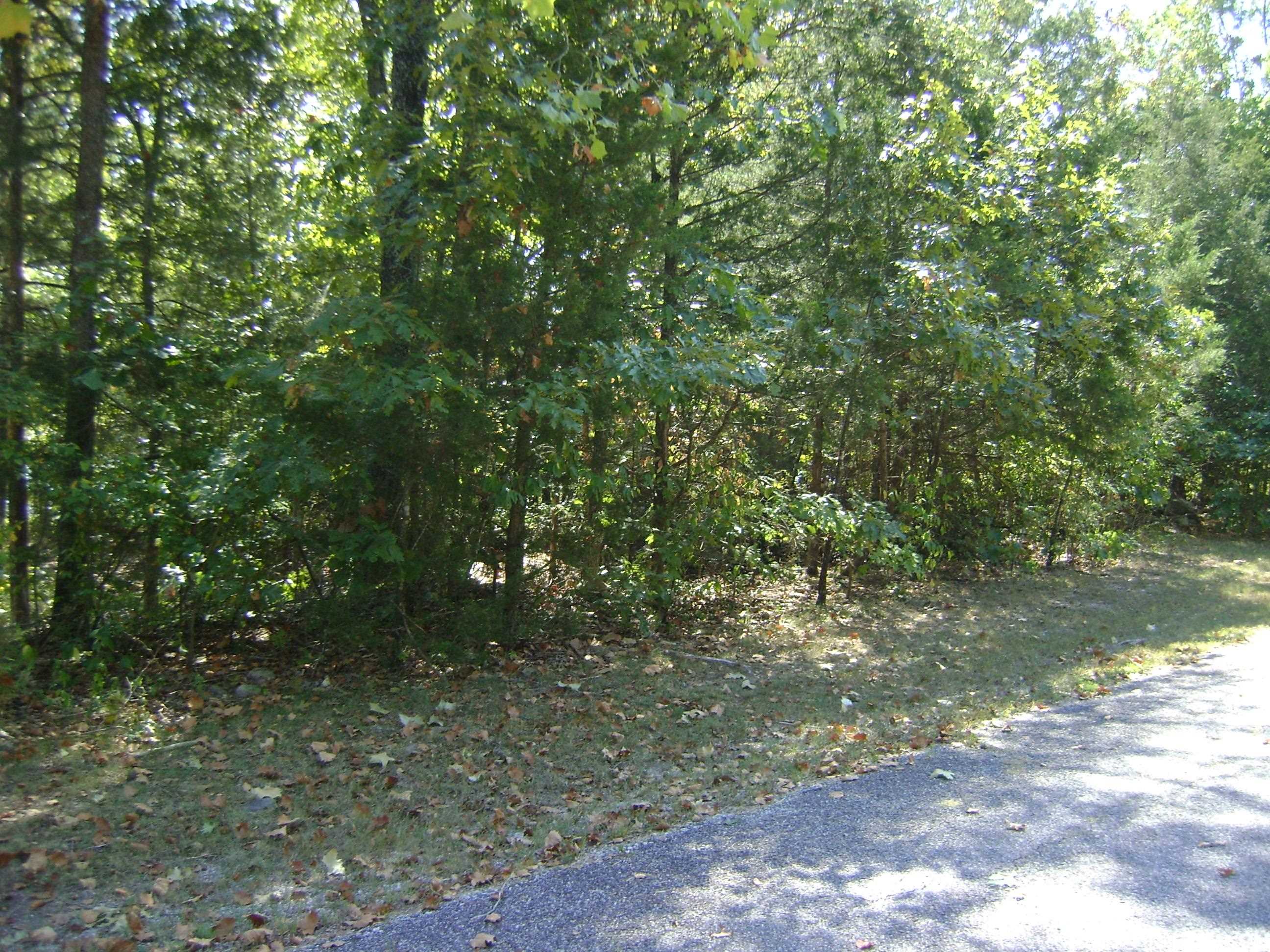 1711  Pleasant Valley Dr. 1108 Fairwater Circle Horseshoe Bend, AR