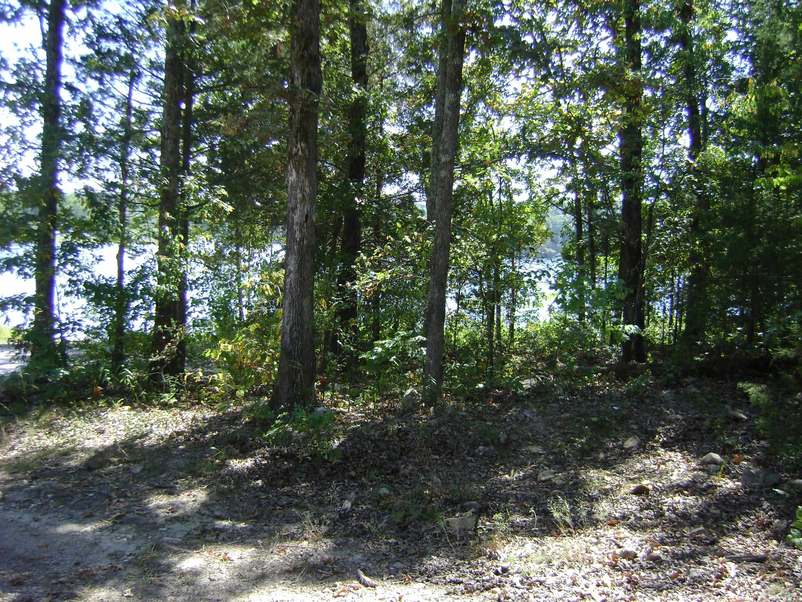 1711  Pleasant Valley Dr. 1108 Fairwater Circle Horseshoe Bend, AR